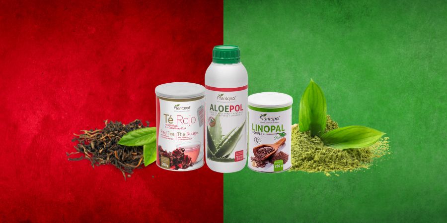¿Qué Pack Chupapanzas elegir Té Rojo o Té Verde